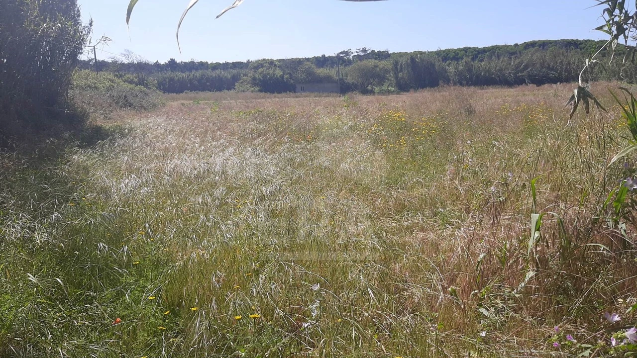 Terreno Agricola ou Rústico para Venda em Belinho e Mar Foto 3