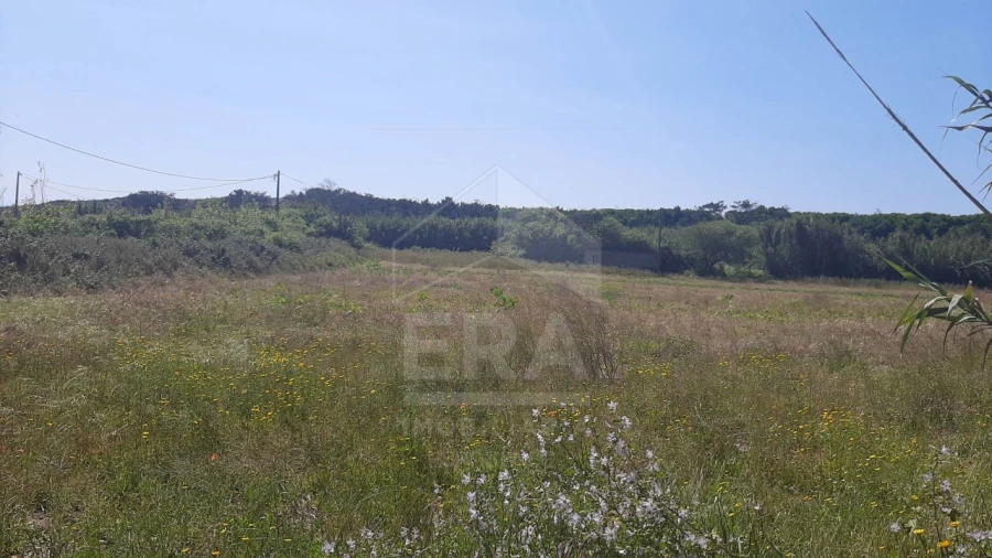 Terreno Agricola ou Rústico para Venda em Belinho e Mar Foto 1