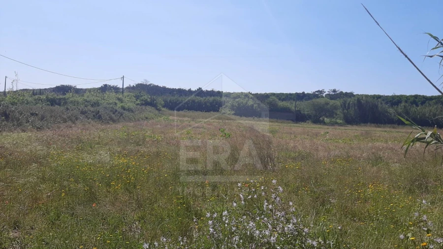 Terreno Agricola ou Rústico para Venda em Belinho e Mar