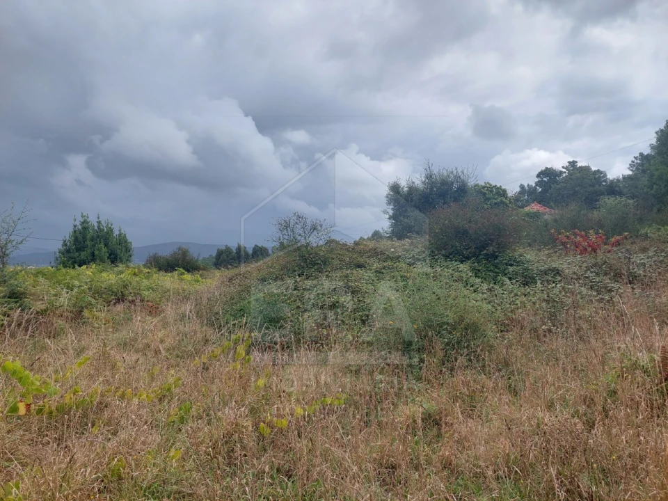 Terreno para Venda em Antas Foto 4