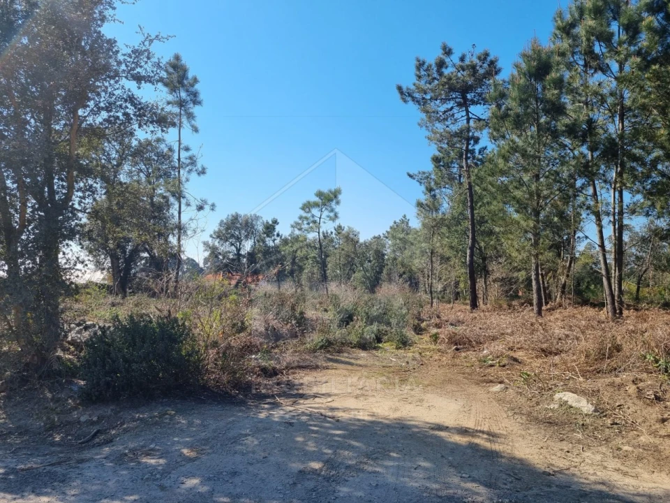 Terreno para Venda em Antas Foto 2