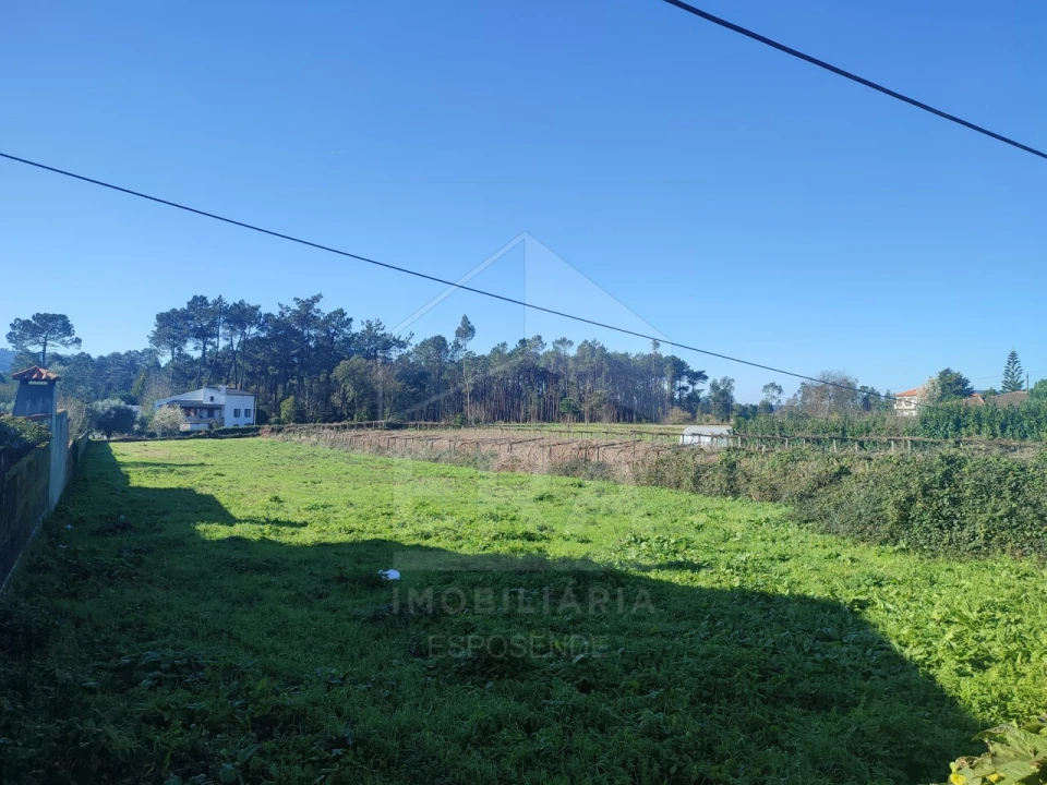 Terreno para Venda em Forjães Foto 3