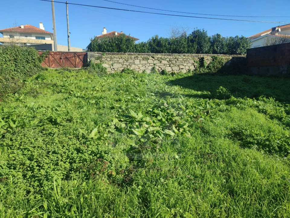 Terreno para Venda em Forjães Foto 6