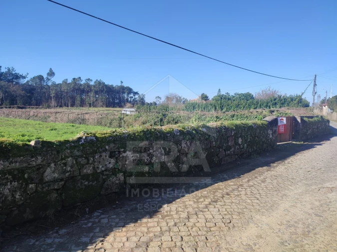Terreno para Venda em Forjães Foto 2
