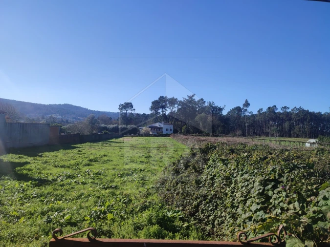 Terreno para Venda em Forjães Foto 4