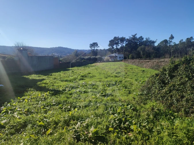 Terreno para Venda em Forjães Foto 5
