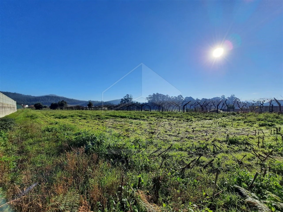 Terreno para Venda em Palmeira de Faro e Curvos Foto 2