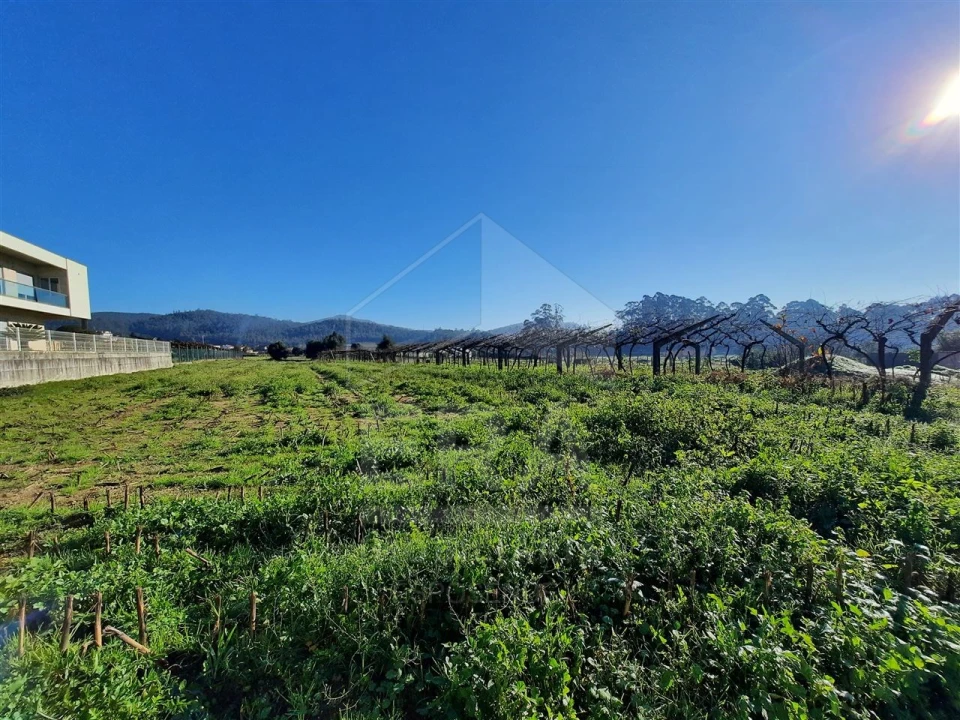 Terreno para Venda em Palmeira de Faro e Curvos Foto 4