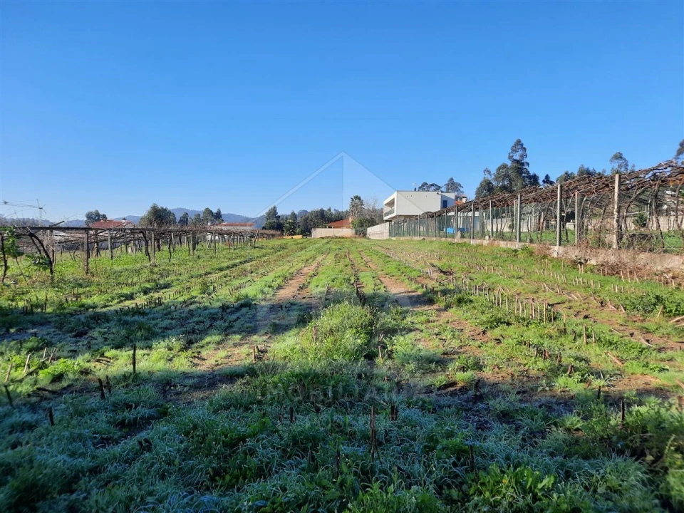 Terreno para Venda em Palmeira de Faro e Curvos Foto 7