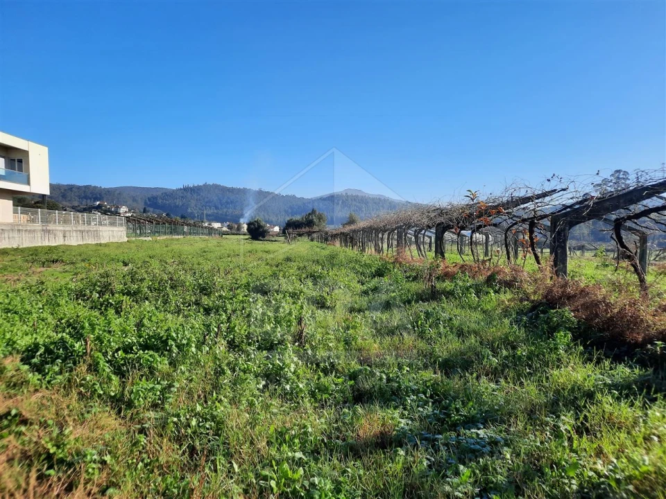 Terreno para Venda em Palmeira de Faro e Curvos Foto 10