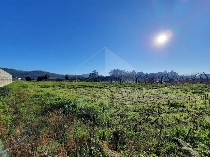 Terreno para Venda em Palmeira de Faro e Curvos Foto 2