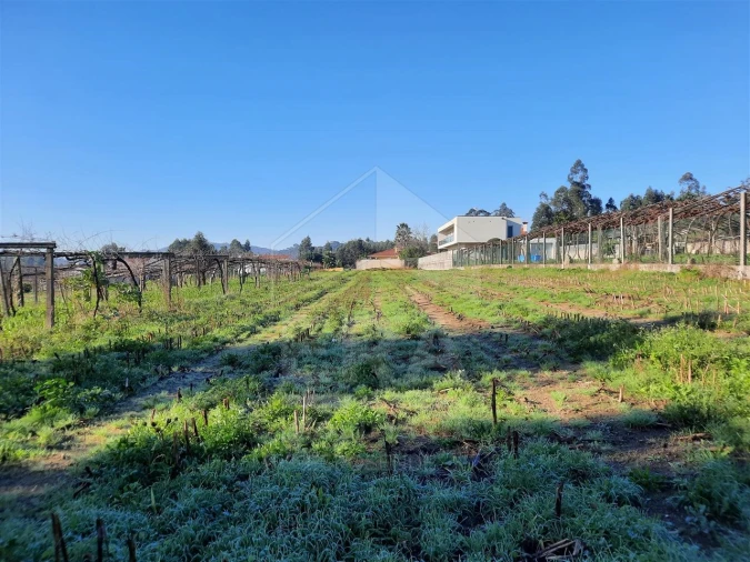 Terreno para Venda em Palmeira de Faro e Curvos Foto 9