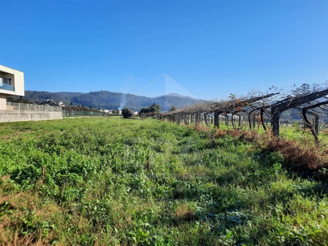 Terreno para Venda em Palmeira de Faro e Curvos Foto 10