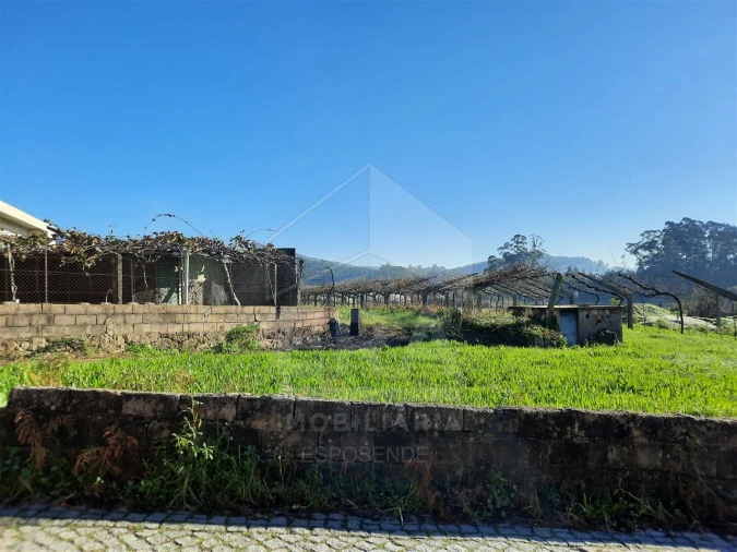 Terreno para Venda em Palmeira de Faro e Curvos Foto 11