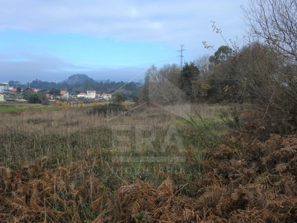 Terreno para Venda em Antas Foto 1