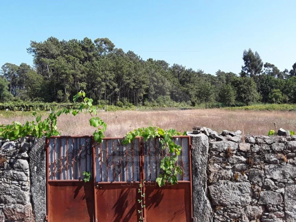 Terreno para Venda em Forjães Foto 3
