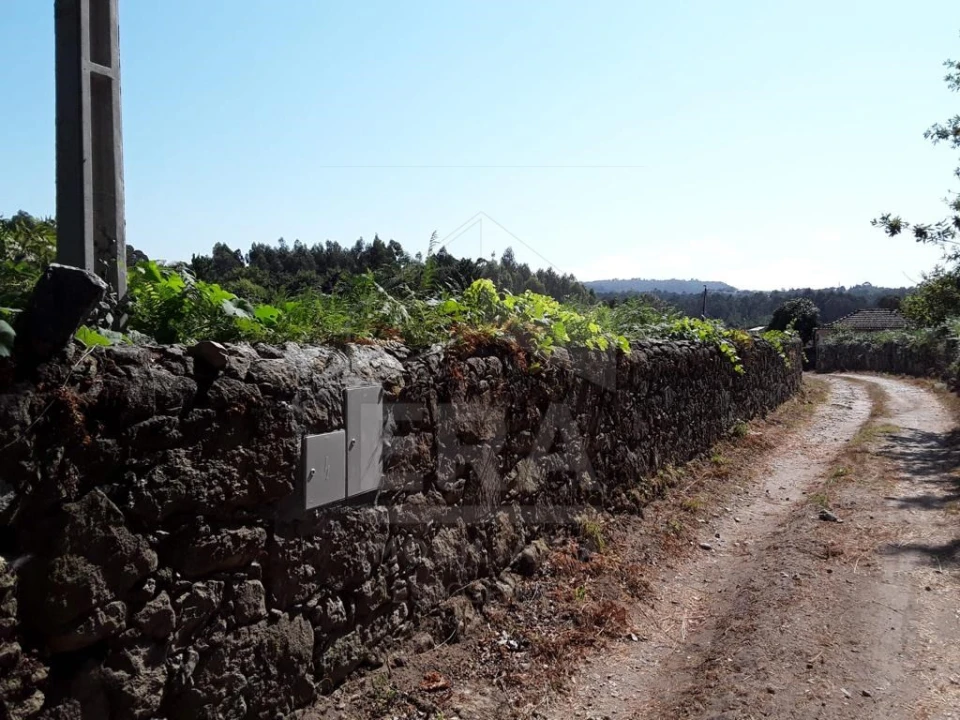 Terreno para Venda em Forjães Foto 5