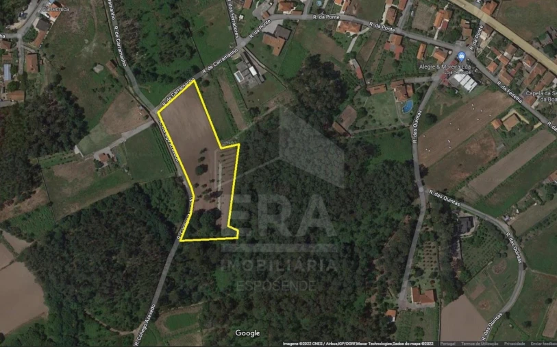 Terreno para Venda em Forjães Foto 1