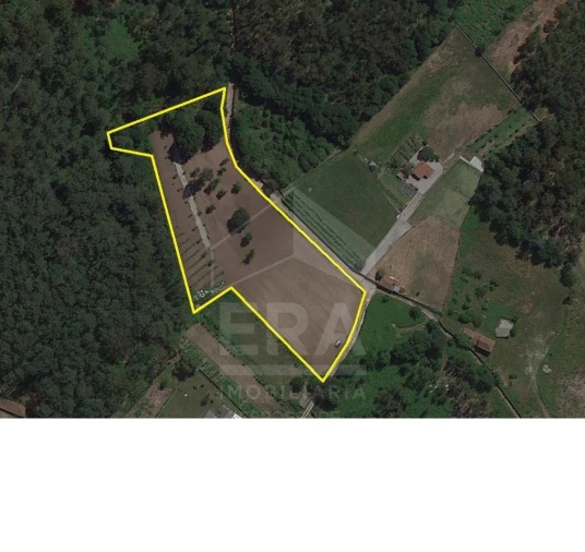 Terreno para Venda em Forjães Foto 7