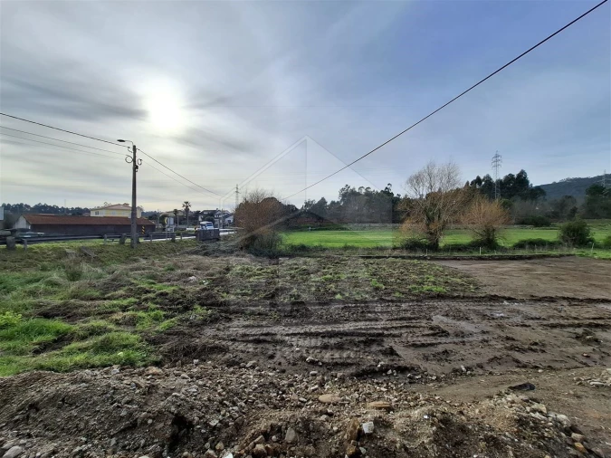 Terreno para Venda em Palmeira de Faro e Curvos Foto 1