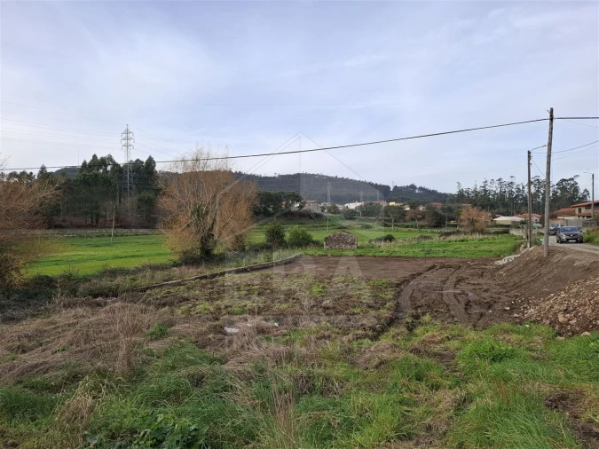 Terreno para Venda em Palmeira de Faro e Curvos Foto 5