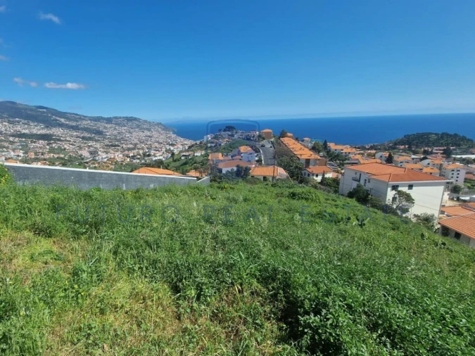 Terreno para Venda em Santo Antonio Foto 4