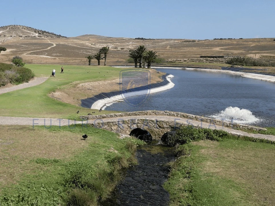 Terreno para Venda em Porto Santo Foto 24