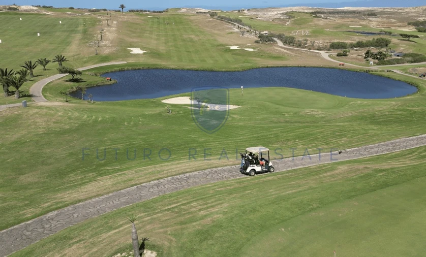 Terreno para Venda em Porto Santo Foto 3