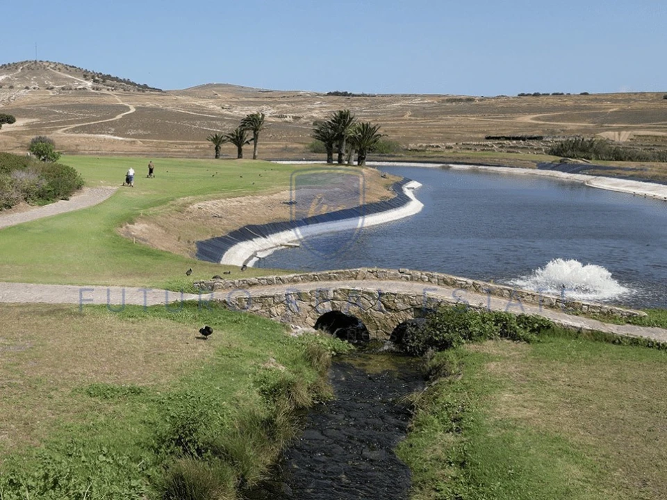 Terreno para Venda em Porto Santo Foto 12