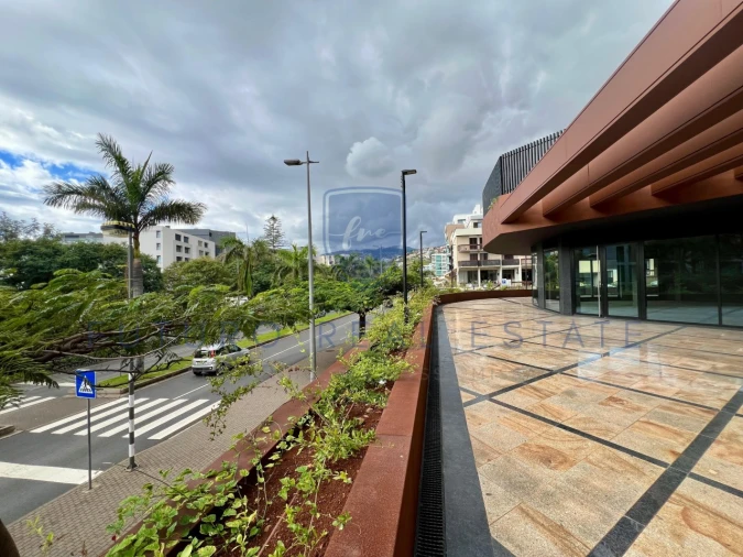 Loja para Venda em São Martinho Foto 21