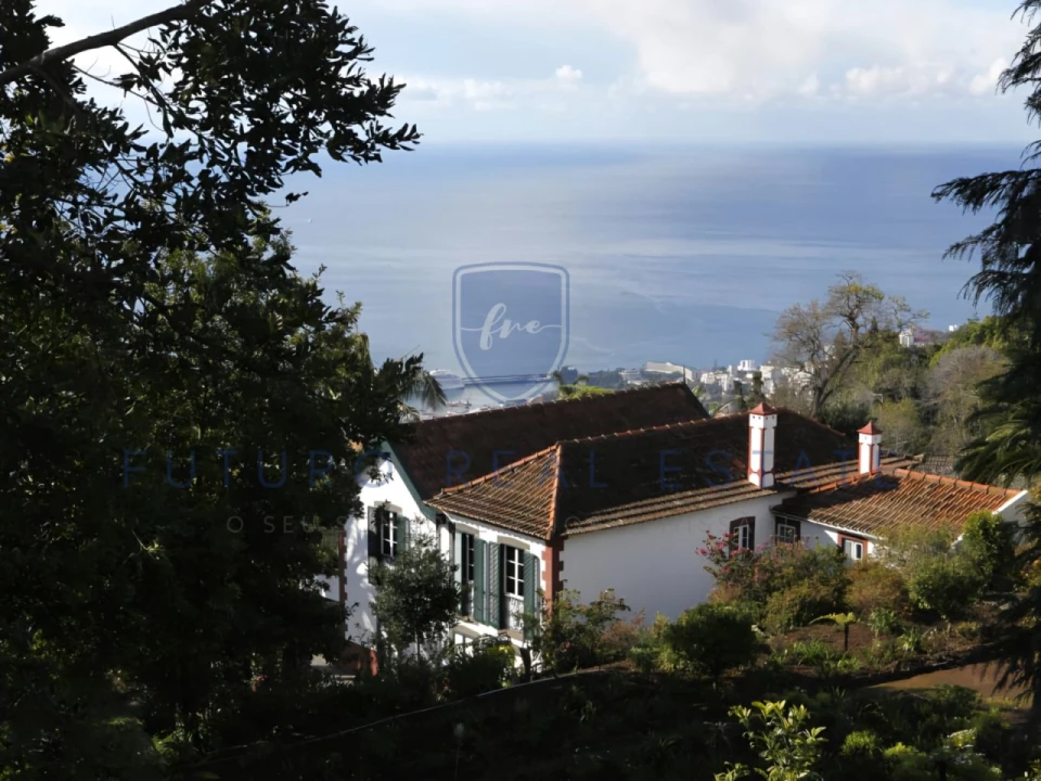 Moradia T4 para Venda em Monte Foto 1