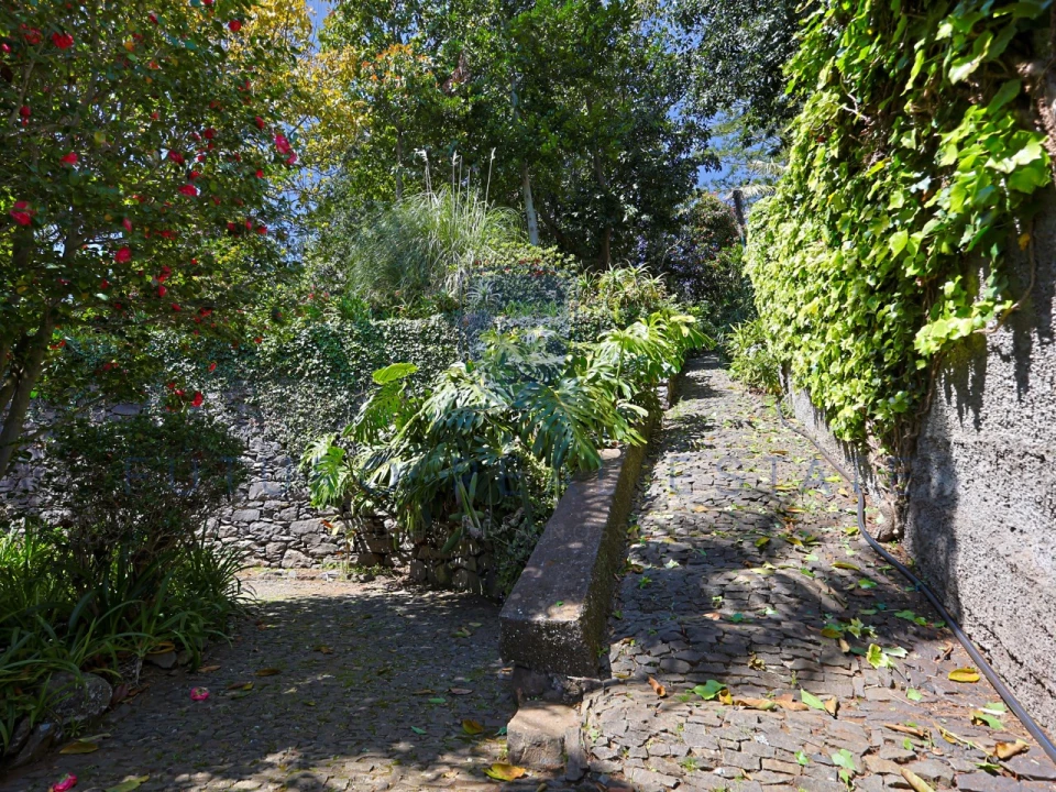 Moradia T4 para Venda em Monte Foto 61