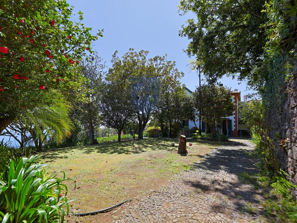 Moradia T4 para Venda em Monte Foto 64