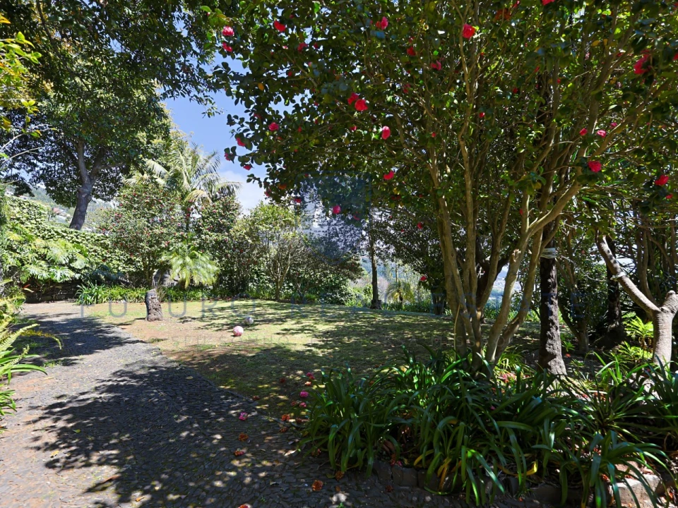 Moradia T4 para Venda em Monte Foto 65