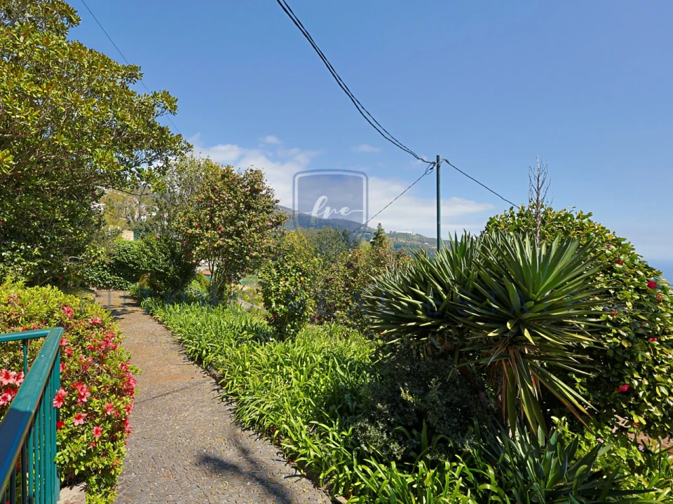 Moradia T4 para Venda em Monte Foto 46