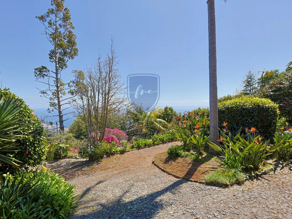 Moradia T4 para Venda em Monte Foto 49