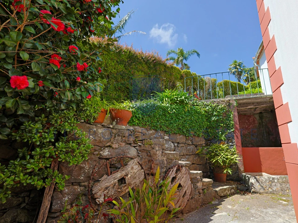 Moradia T4 para Venda em Monte Foto 39