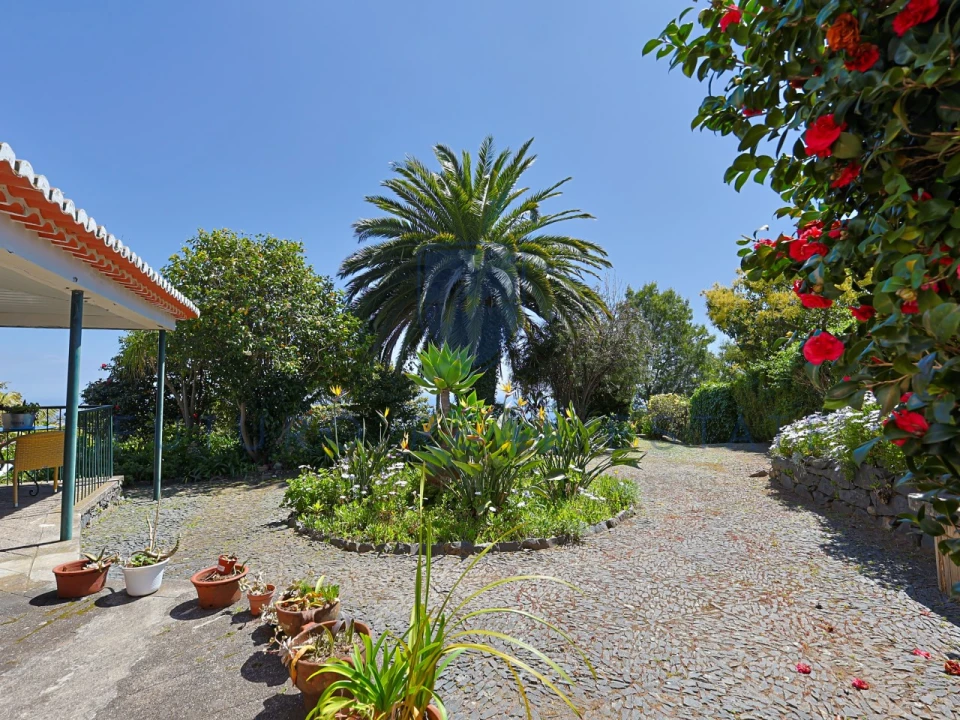 Moradia T4 para Venda em Monte Foto 38