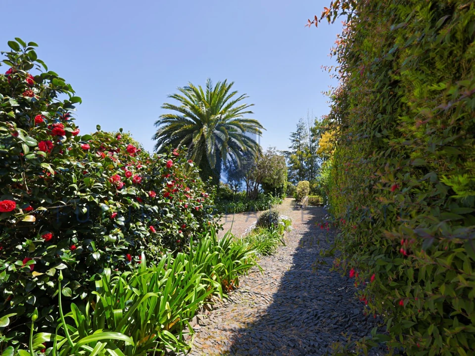 Moradia T4 para Venda em Monte Foto 55