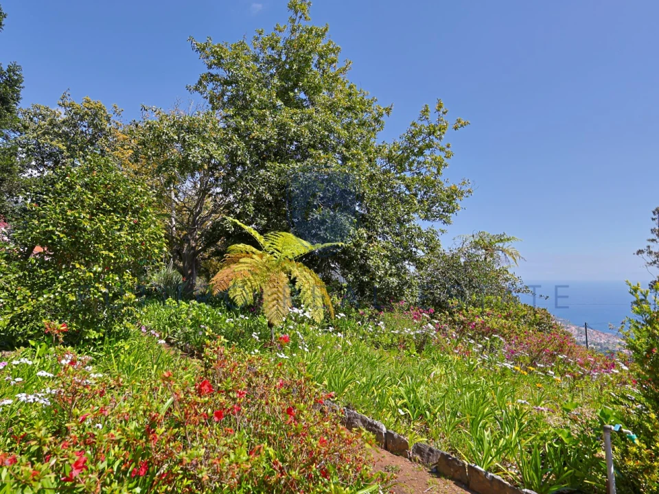 Moradia T4 para Venda em Monte Foto 60