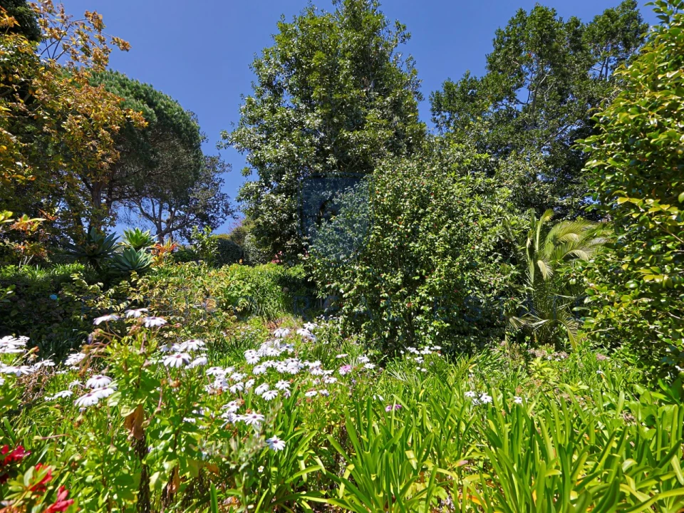 Moradia T4 para Venda em Monte Foto 59