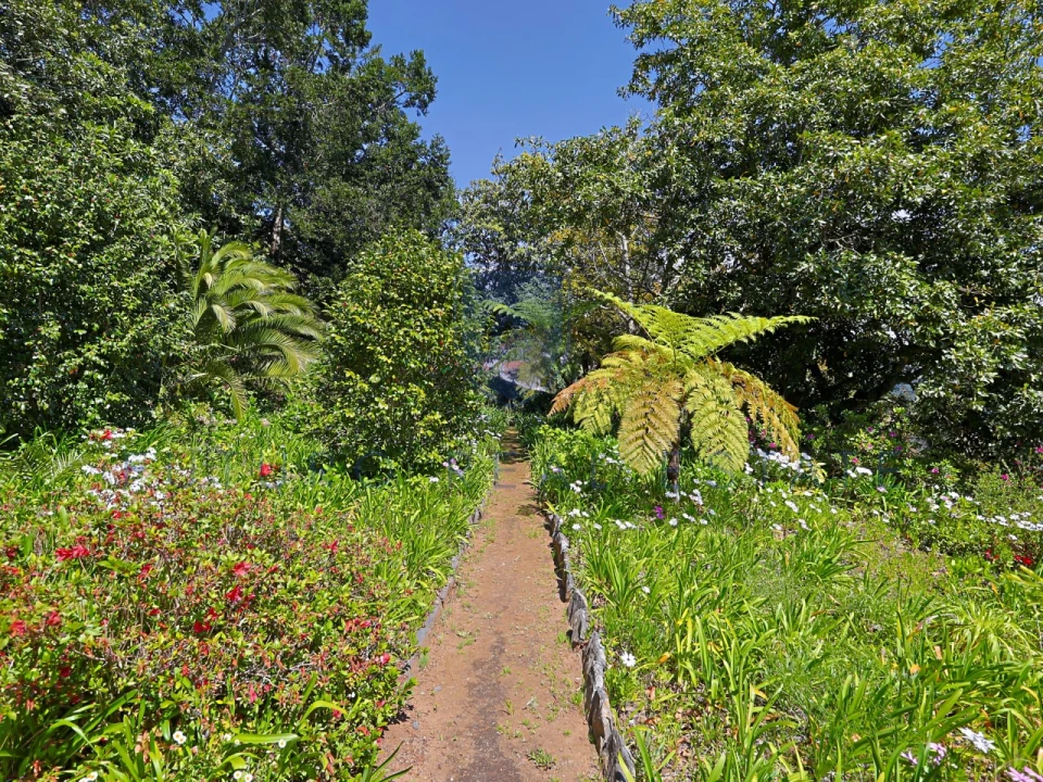 Moradia T4 para Venda em Monte Foto 58