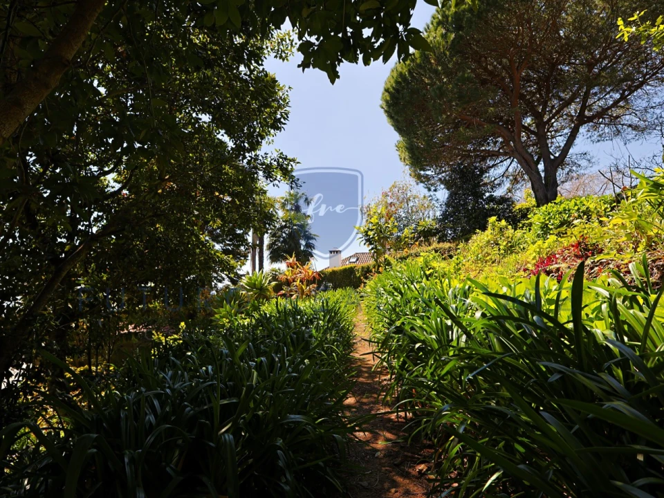 Moradia T4 para Venda em Monte Foto 54