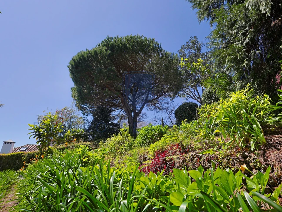 Moradia T4 para Venda em Monte Foto 68