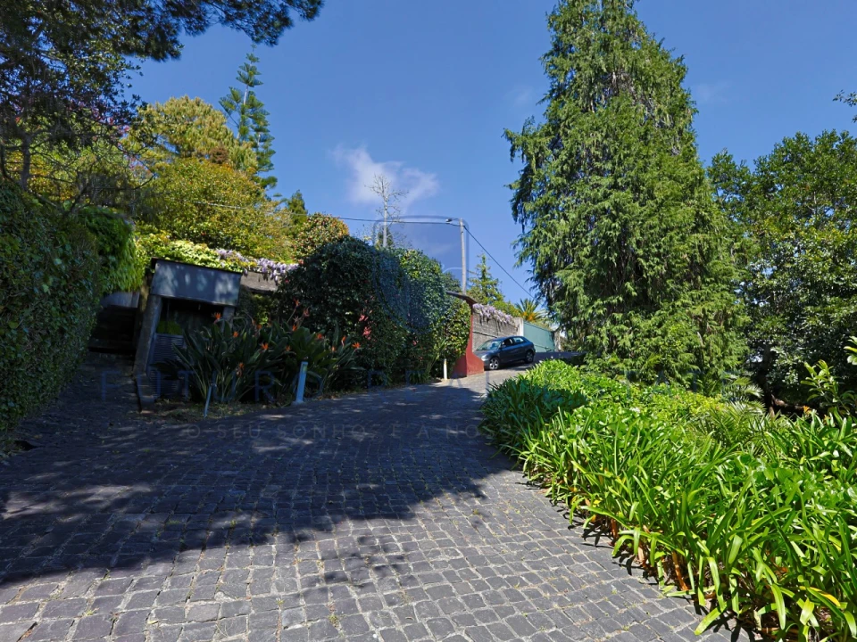 Moradia T4 para Venda em Monte Foto 72