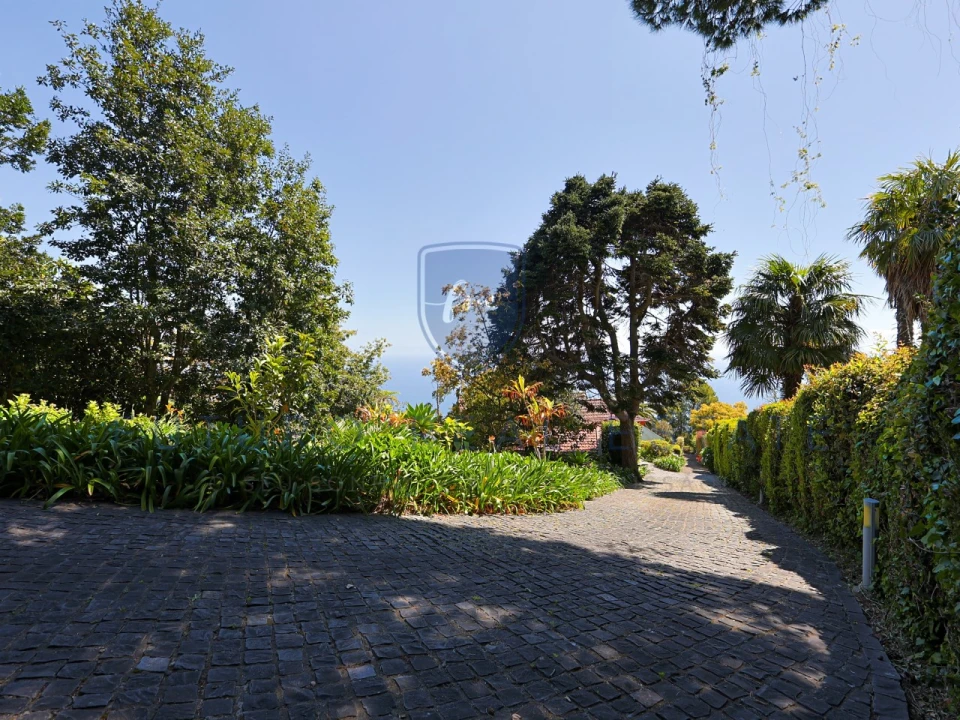 Moradia T4 para Venda em Monte Foto 53