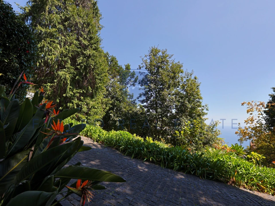 Moradia T4 para Venda em Monte Foto 56