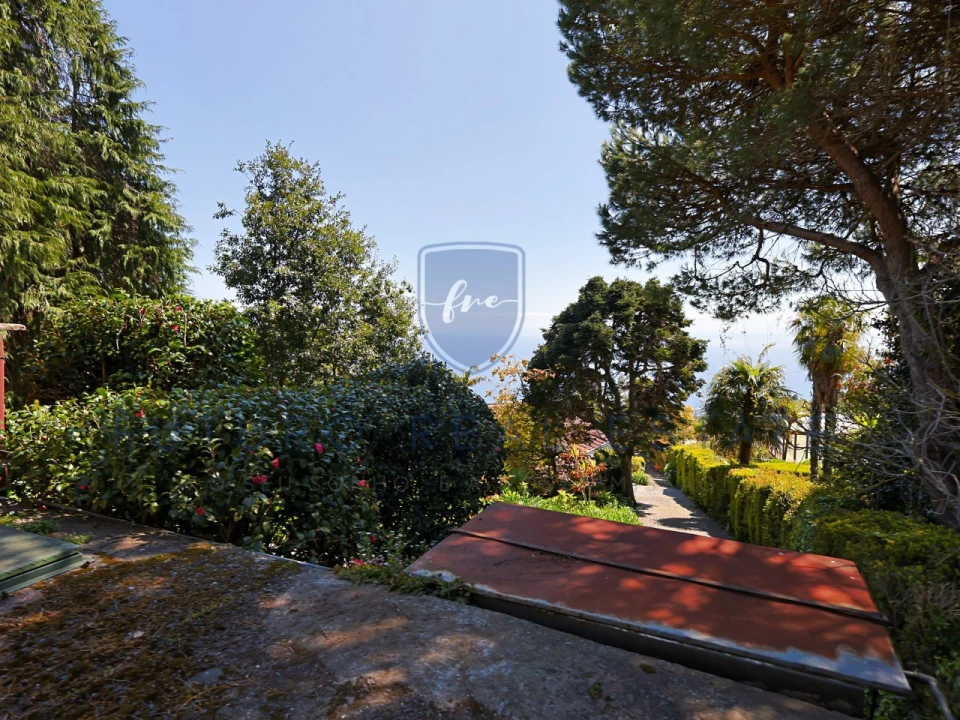 Moradia T4 para Venda em Monte Foto 57