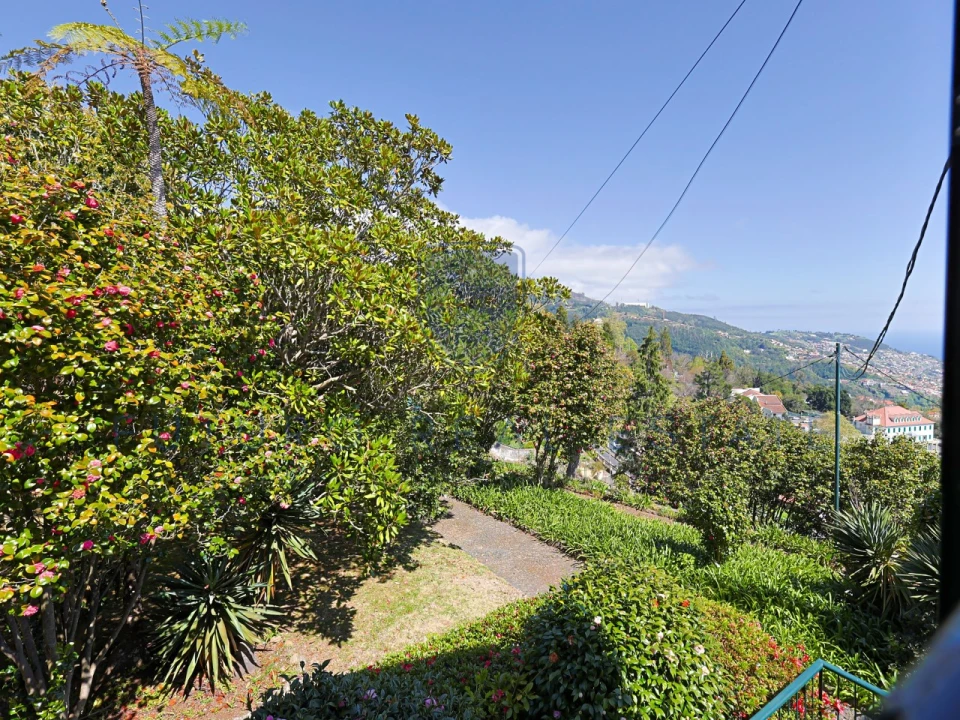 Moradia T4 para Venda em Monte Foto 66