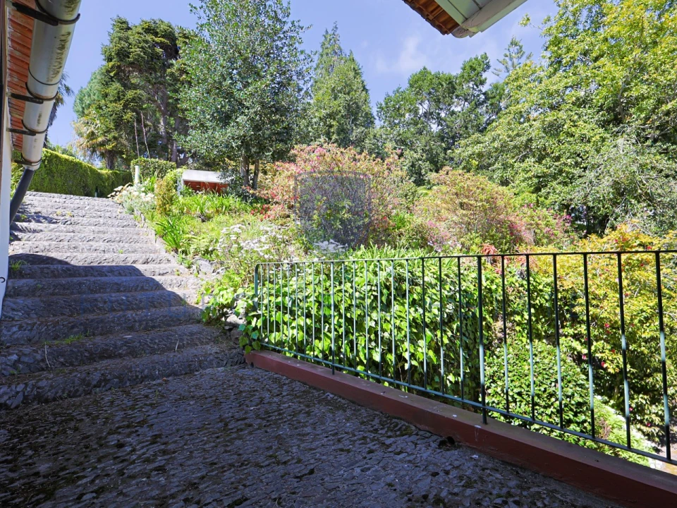 Moradia T4 para Venda em Monte Foto 62